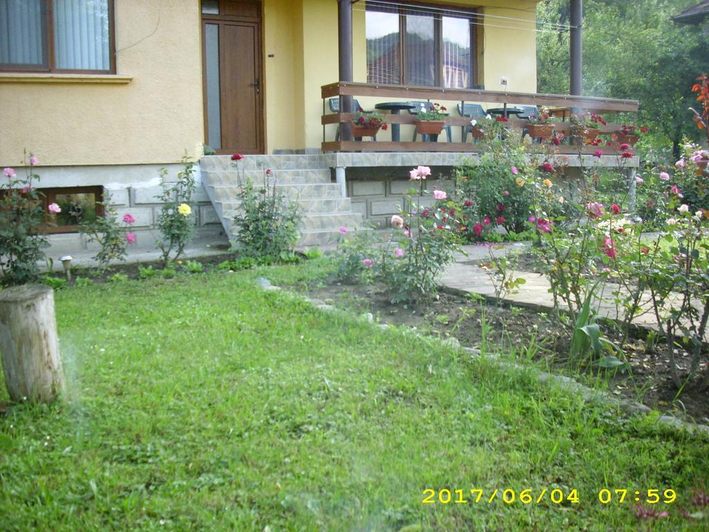 Villa Ribarica Exterior photo