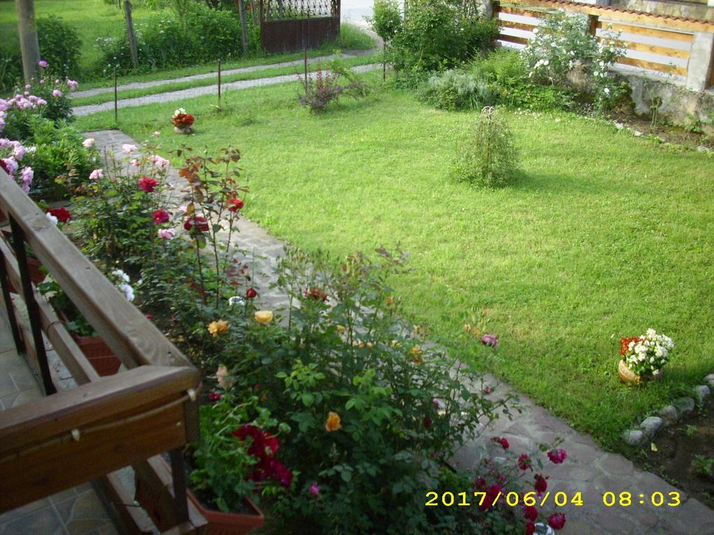 Villa Ribarica Exterior photo